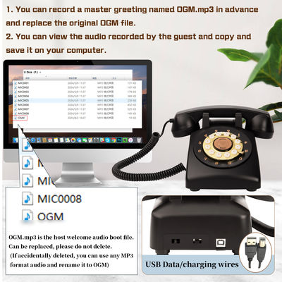 15 Jam Voice Guestbook USB Clear Sound All Occasions Telepon Pernikahan Guestbook