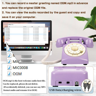USB Kompatibel Telepon Guest Book Rekaman Telepon Plastik Untuk Baby Shower